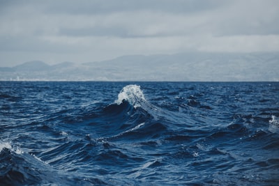 海浪在白天在灰色的天空下
